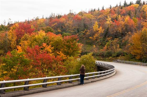 A woman stops to take a photo of the fall foliage Oct. 17, 2013, along the bridge over Green Mountain Creek on the Blue Ridge Parkway near Grandfather Mountain in Linville, N.C. 